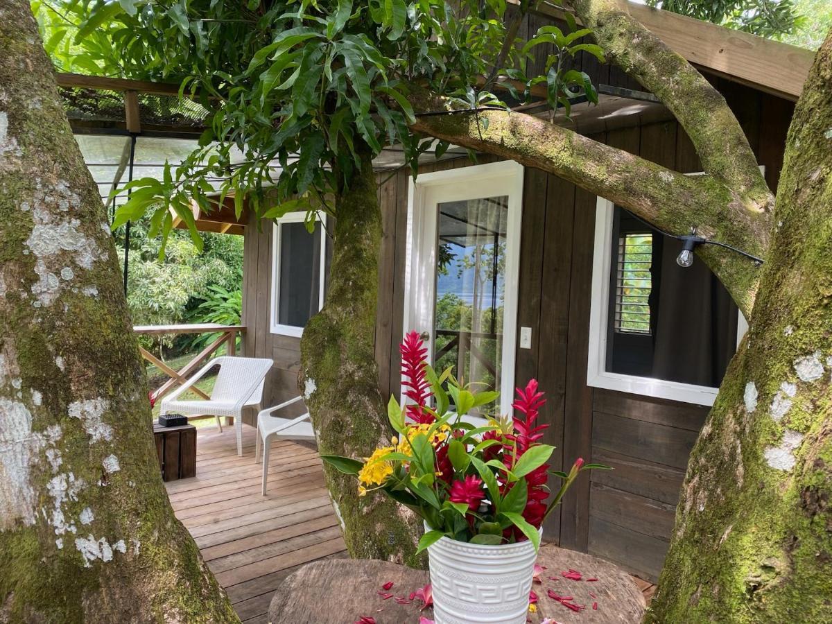Finca Vela Lodge Бокас-дель-Торо Экстерьер фото