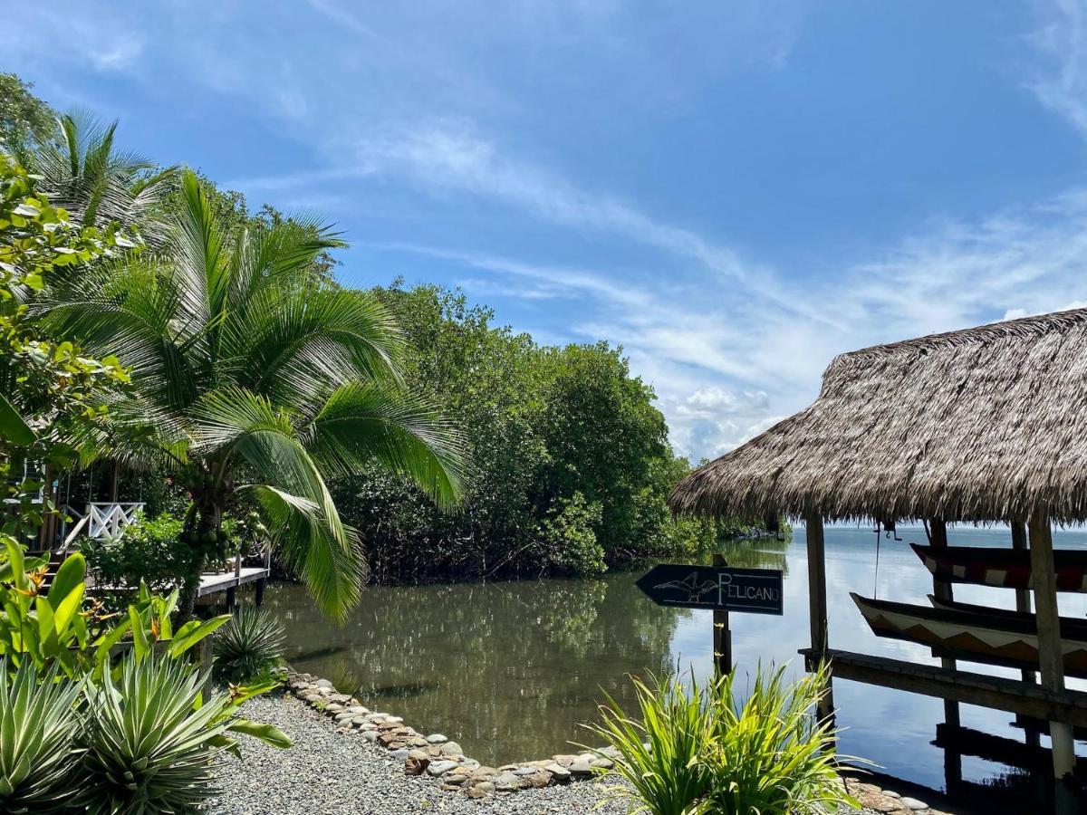 Finca Vela Lodge Бокас-дель-Торо Экстерьер фото