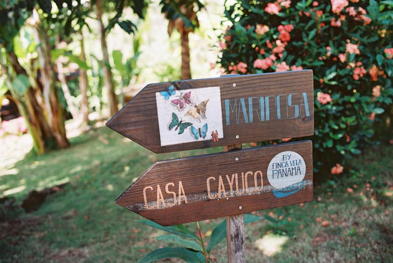 Finca Vela Lodge Бокас-дель-Торо Экстерьер фото