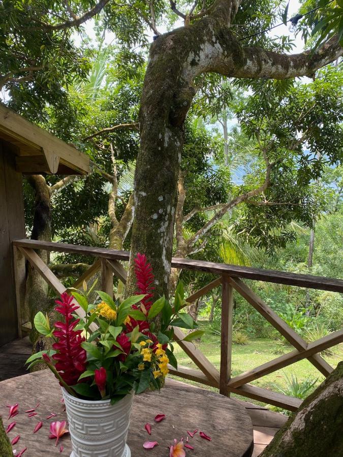 Finca Vela Lodge Бокас-дель-Торо Экстерьер фото