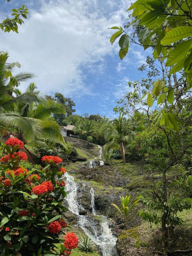 Finca Vela Lodge Бокас-дель-Торо Экстерьер фото