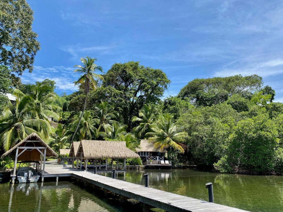 Finca Vela Lodge Бокас-дель-Торо Экстерьер фото