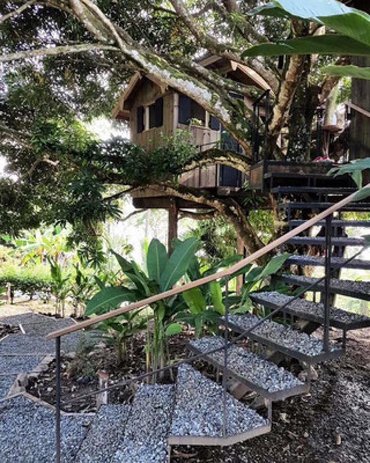 Finca Vela Lodge Бокас-дель-Торо Номер фото
